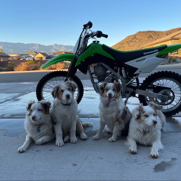 🔆MY FAMILY🔆 - Picture 12 of 16